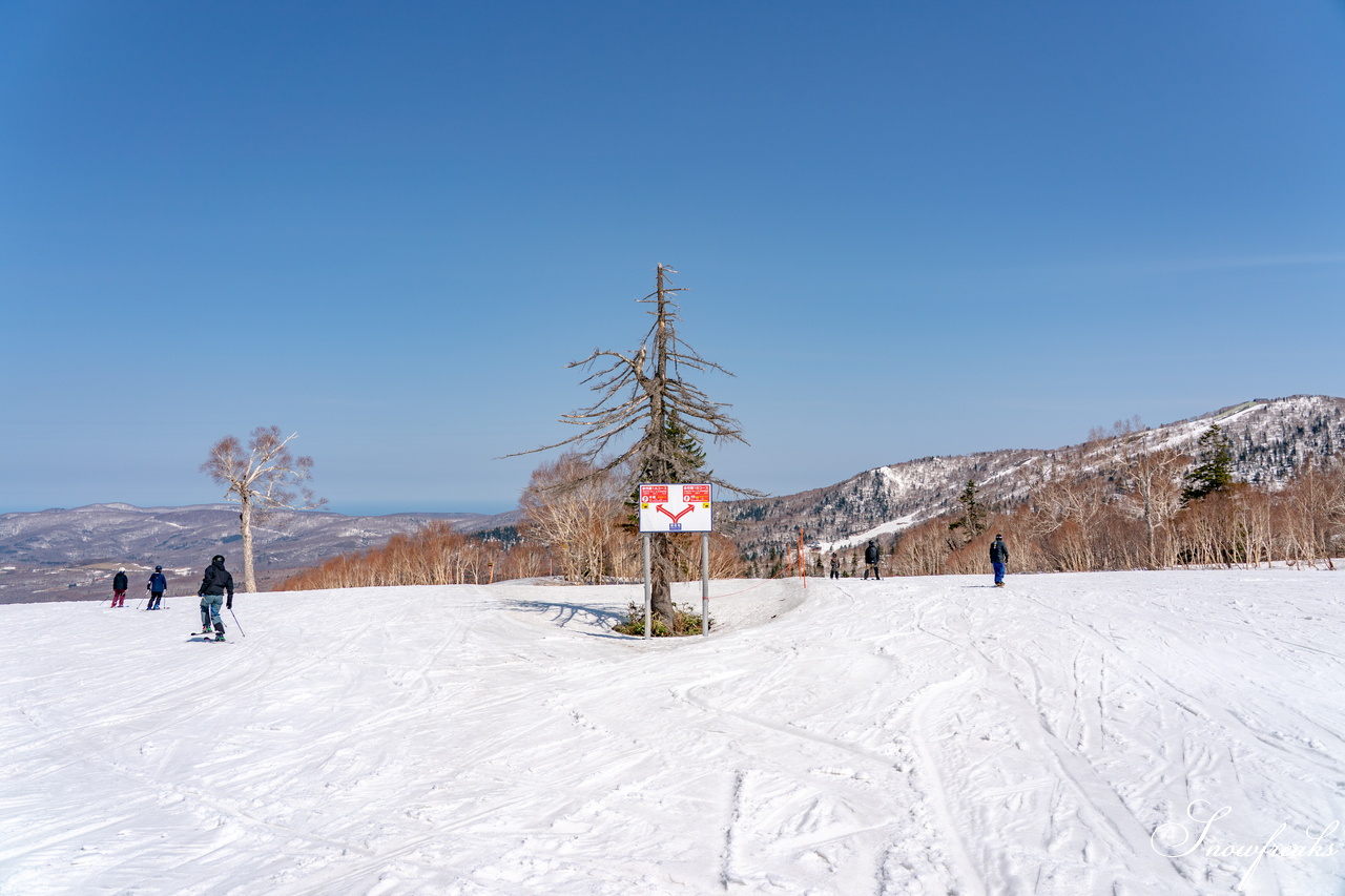 キロロリゾート｜ポカポカ陽気で絶好の春スキー日和♪こんな日は、みんなで思いっきり春雪を満喫しましょう！